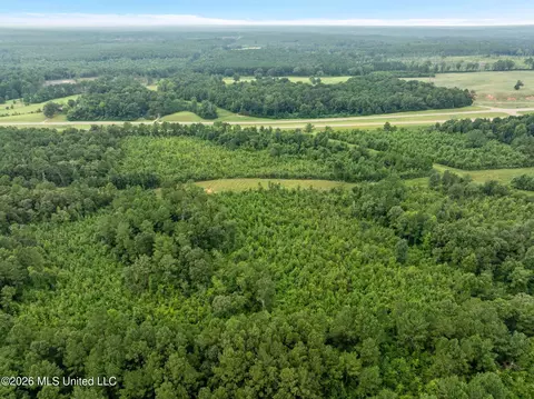 4 Hwy 84, Collins, MS 39428 photo 8