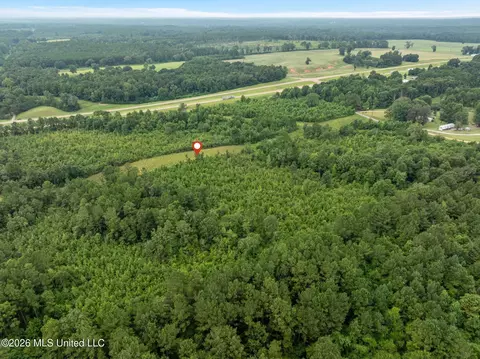 4 Hwy 84, Collins, MS 39428 photo 7