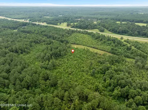 4 Hwy 84, Collins, MS 39428 photo 9