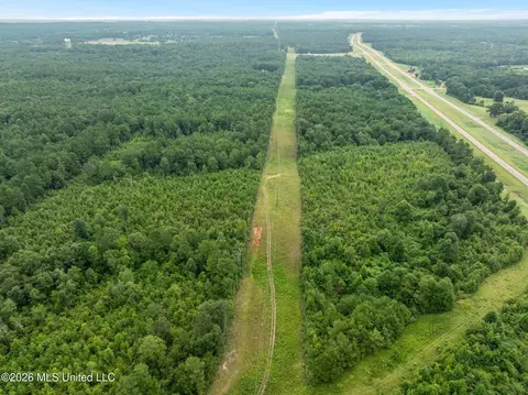 4 Hwy 84, Collins, MS 39428 photo 10