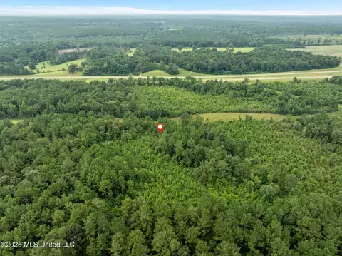 5 Hwy 84, Collins, MS 39428 photo 7