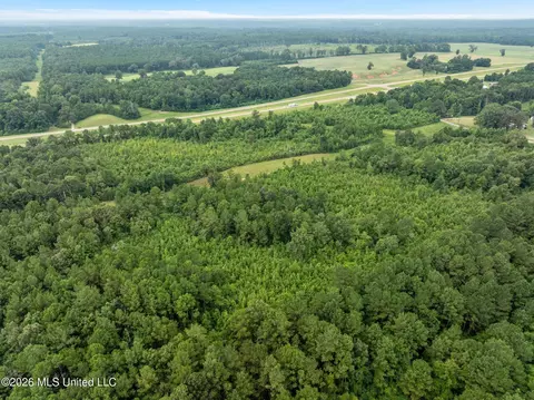 5 Hwy 84, Collins, MS 39428 photo 6