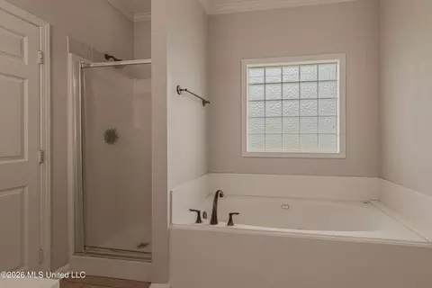 Bath - 148 Devlin Springs Dr, Madison, MS 39110 photo 2 of 6