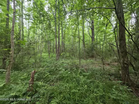 1542 Wellman Dr, Brookhaven, MS 39601 photo 24