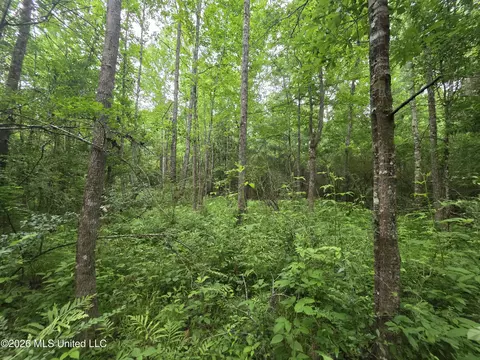 1542 Wellman Dr, Brookhaven, MS 39601 photo 17