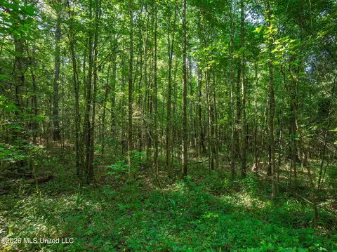 Mississippi 12, Durant, MS 39063 photo 9