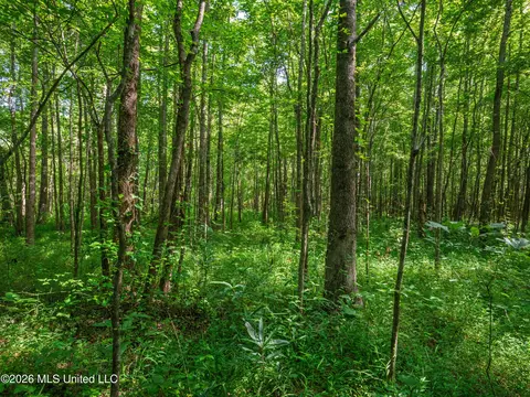 Mississippi 12, Durant, MS 39063 photo 31