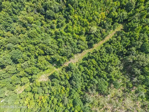 Mississippi 12, Durant, MS 39063 photo 39