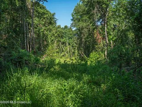 Mississippi 12, Durant, MS 39063 photo 12