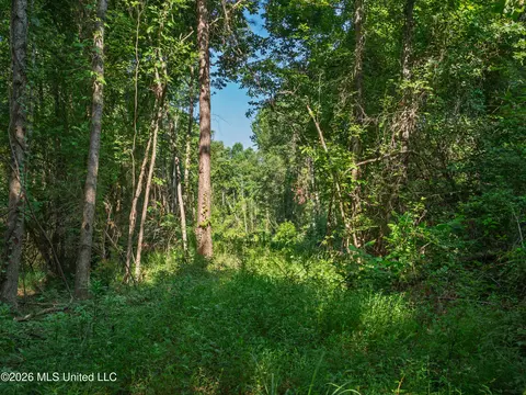 Mississippi 12, Durant, MS 39063 photo 10