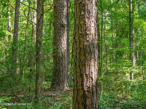Mississippi 12, Durant, MS 39063 photo 24
