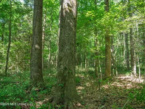 Mississippi 12, Durant, MS 39063 photo 22