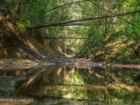 Mississippi 12, Durant, MS 39063 photo 5