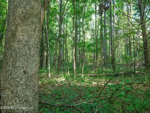 Mississippi 12, Durant, MS 39063 photo 20