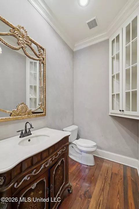 Bath - 553 Twin Cedars Dr, Madison, MS 39110 photo 5 of 7