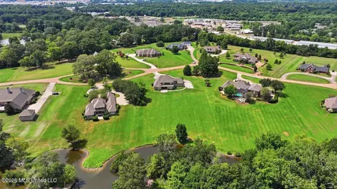 View/Area - 553 Twin Cedars Dr, Madison, MS 39110 photo 3 of 10