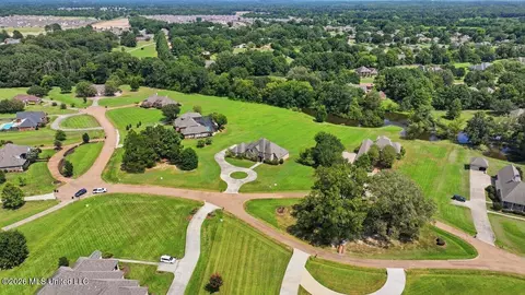 View/Area - 553 Twin Cedars Dr, Madison, MS 39110 photo 5 of 10