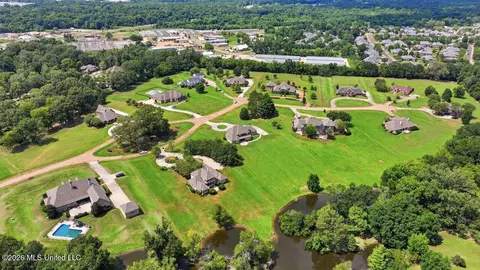 View/Area - 553 Twin Cedars Dr, Madison, MS 39110 photo 10 of 10