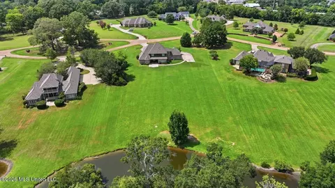 View/Area - 553 Twin Cedars Dr, Madison, MS 39110 photo 4 of 10