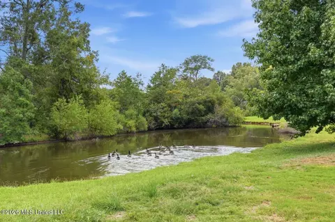 View/Area - 553 Twin Cedars Dr, Madison, MS 39110 photo 1 of 10