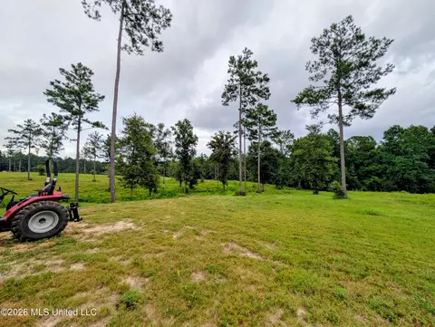 67 Moonshadow Ln, Sumrall, MS 39482 photo 8