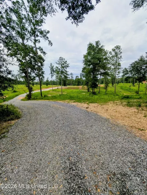 67 Moonshadow Ln, Sumrall, MS 39482 photo 3