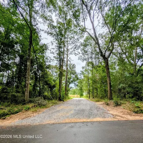 67 Moonshadow Ln, Sumrall, MS 39482 photo 4