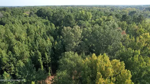 0 Dampeer Rd, Canton, MS 39046 photo 3