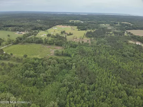 0 Dampeer Rd, Canton, MS 39046 photo 6