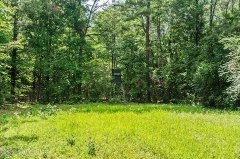 Exterior - 2111 Old Brookhaven Rd, Summit, MS 39666 photo 27 of 27