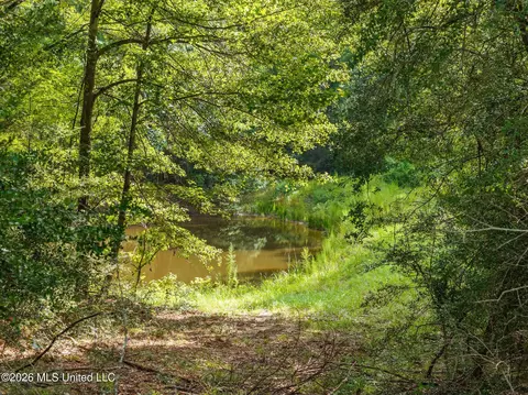 View/Area - 2111 Old Brookhaven Rd, Summit, MS 39666 photo 1 of 6