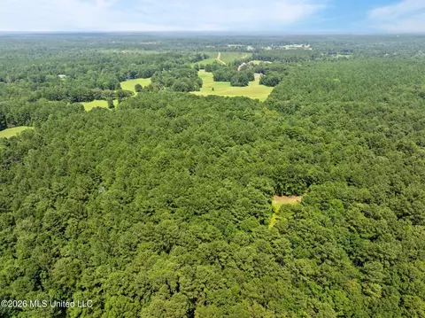 Other - 2111 Old Brookhaven Rd, Summit, MS 39666 photo 39 of 42