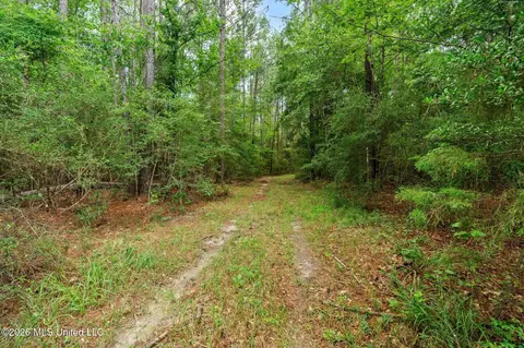 Other - 2111 Old Brookhaven Rd, Summit, MS 39666 photo 22 of 42