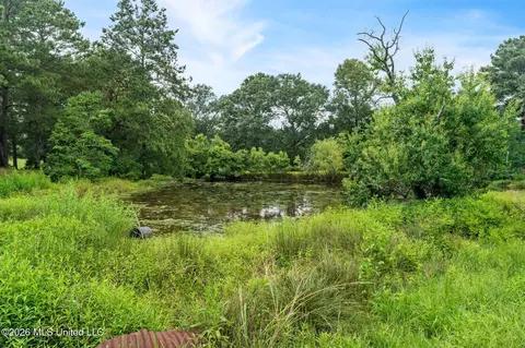 Other - 2111 Old Brookhaven Rd, Summit, MS 39666 photo 19 of 42