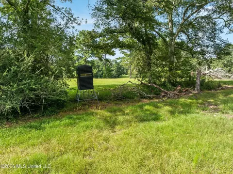 Exterior - 2111 Old Brookhaven Rd, Summit, MS 39666 photo 26 of 27