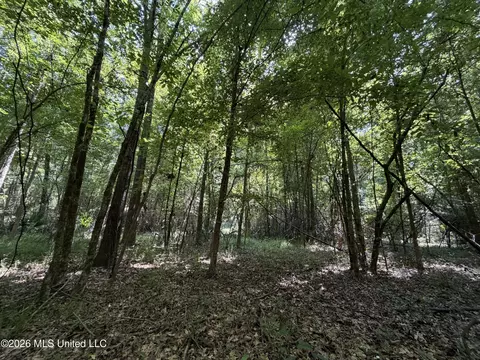 Church Road, Goodman, MS 39079 photo 2