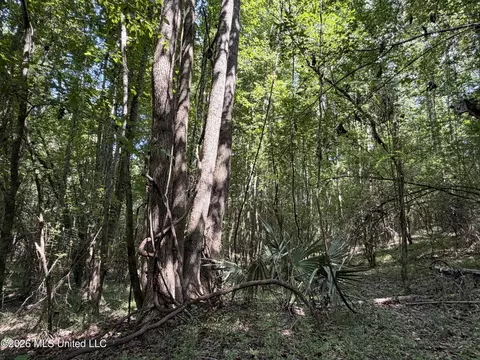 Church Road, Goodman, MS 39079 photo 5