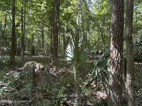 Church Road, Goodman, MS 39079 photo 3