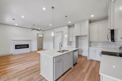 Other - 138 Stapleton Dr, Canton, MS 39046 photo 3 of 13