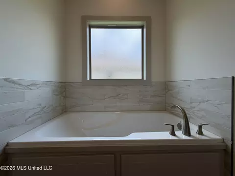 Bath - 138 Stapleton Dr, Canton, MS 39046 photo 4 of 8