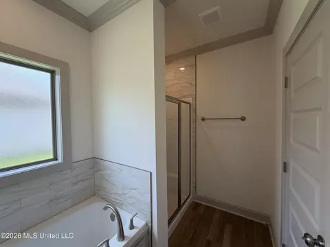 Bath - 138 Stapleton Dr, Canton, MS 39046 photo 3 of 8