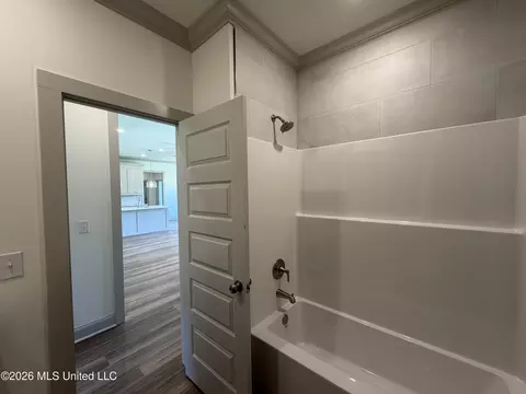 Bath - 138 Stapleton Dr, Canton, MS 39046 photo 7 of 8