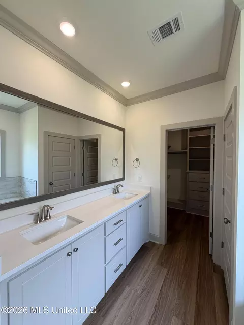 Bath - 138 Stapleton Dr, Canton, MS 39046 photo 2 of 8