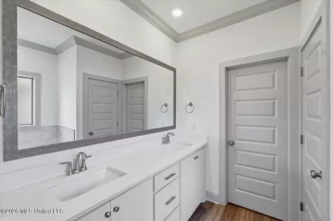 Bath - 138 Stapleton Dr, Canton, MS 39046 photo 1 of 4