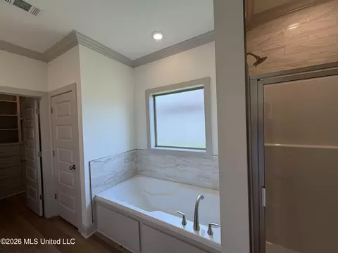 Bath - 138 Stapleton Dr, Canton, MS 39046 photo 1 of 8