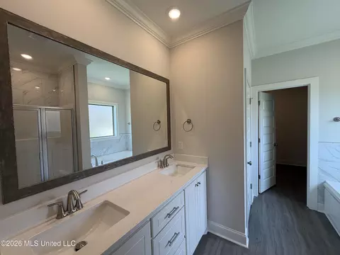 Bath - 142 Stapleton Dr, Canton, MS 39046 photo 2 of 4