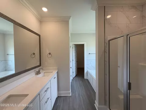 Bath - 142 Stapleton Dr, Canton, MS 39046 photo 1 of 4