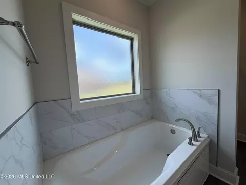 Bath - 142 Stapleton Dr, Canton, MS 39046 photo 3 of 4