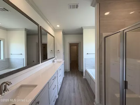 Bath - 146 Stapleton Dr, Canton, MS 39046 photo 1 of 4