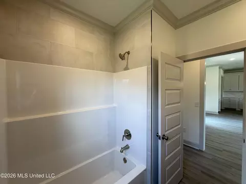 Bath - 146 Stapleton Dr, Canton, MS 39046 photo 4 of 4